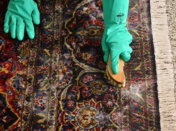 Deep Rug Cleaning Services Lake Mary