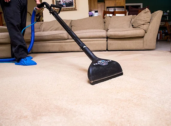 Rug Cleaning Techniques