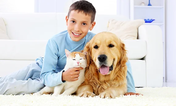 Florida’s Top-Rated Pet Odor Removal