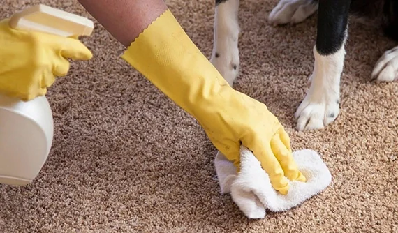 Pet Urine Carpet Cleaner