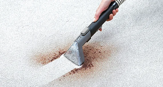 Stain Removal Service for Every Surface